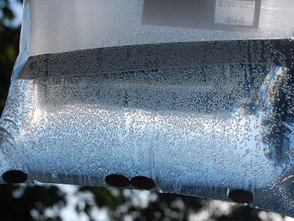 Neverjeten način za odganjanje muh